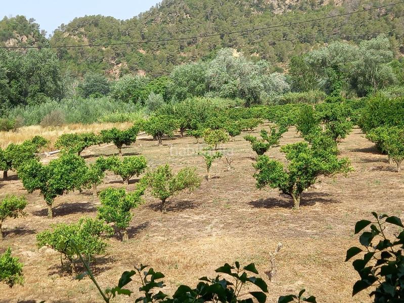 Foto a478b058-d24c-4d08-bfb2-e48c3fd0b9bb. Finca rústica a Miravet