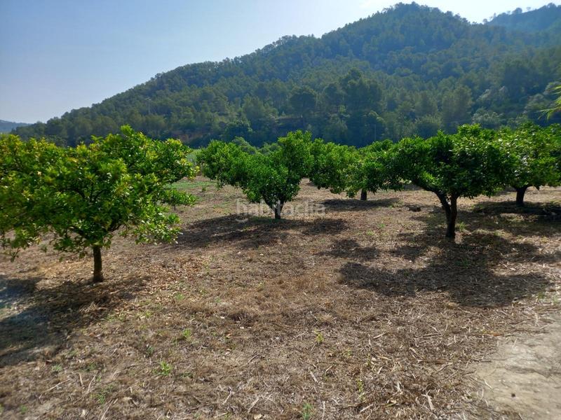 Foto a74973c8-ce3a-4d07-8351-624685e4ad1d. Finca rústica a Miravet