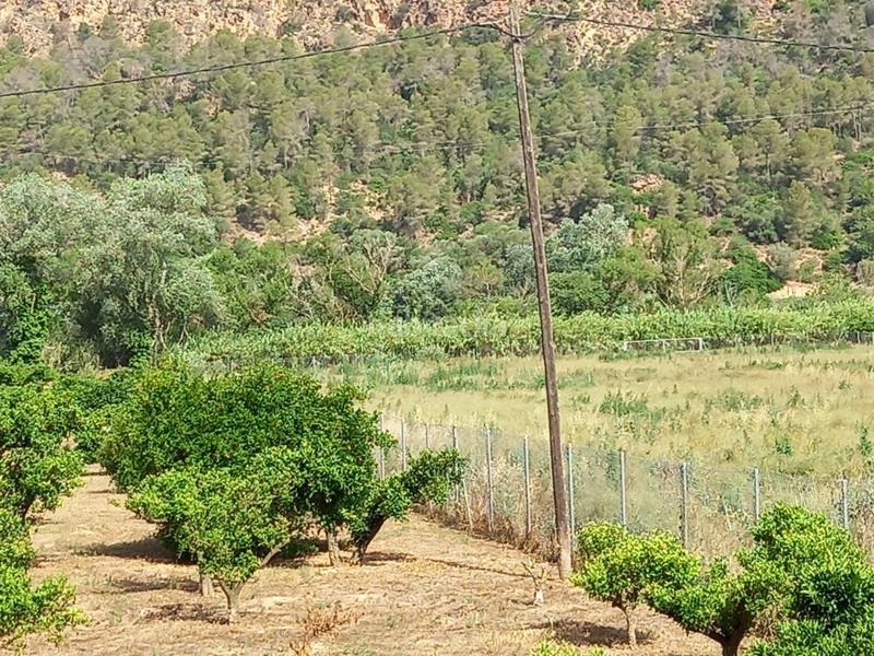 Foto cd7a2fae-7149-4a86-b506-3ce07ea867f8. Finca rústica a Miravet