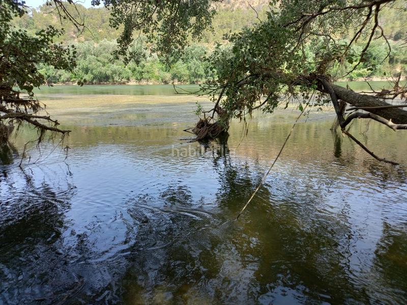 Foto ce0cfdfd-4c3d-4e04-9cfd-0a84b5e27085. Finca rústica a Miravet