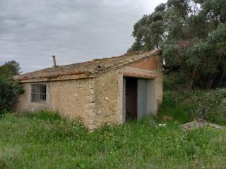 Finca rústica a Móra d´Ebre. Ocasion finca rustica de 4,5 has al pie de la n420 con masia de