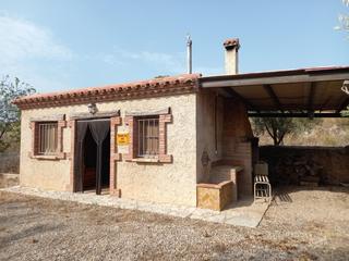 Rural plot in Miravet. Finca de regadio plantada de olivos en produccion con masia, poz