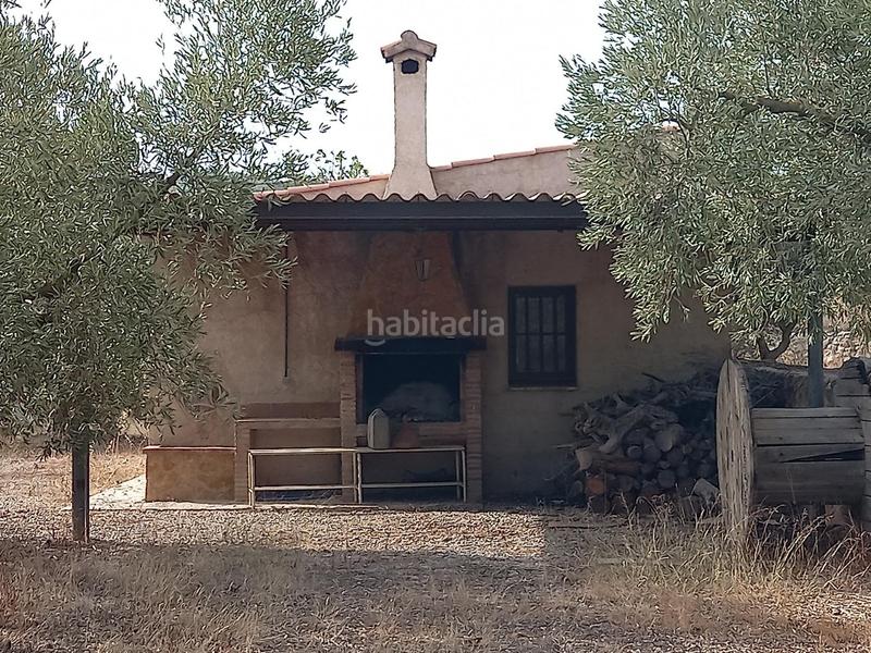 Foto c1603c50-8c65-467f-a927-c27ee549f079. Fondo rustico in Miravet