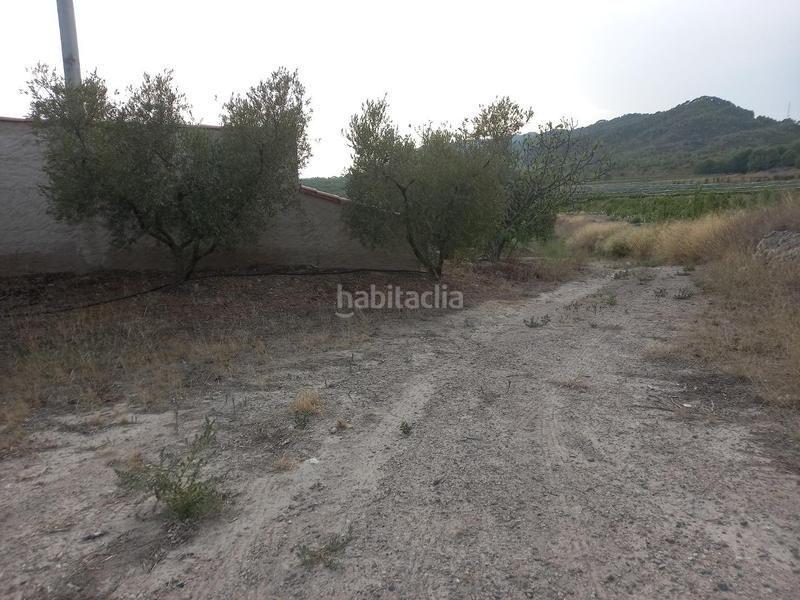 Foto ca3b701b-8374-4b3d-a463-fa7004703d44. Fondo rustico in Miravet