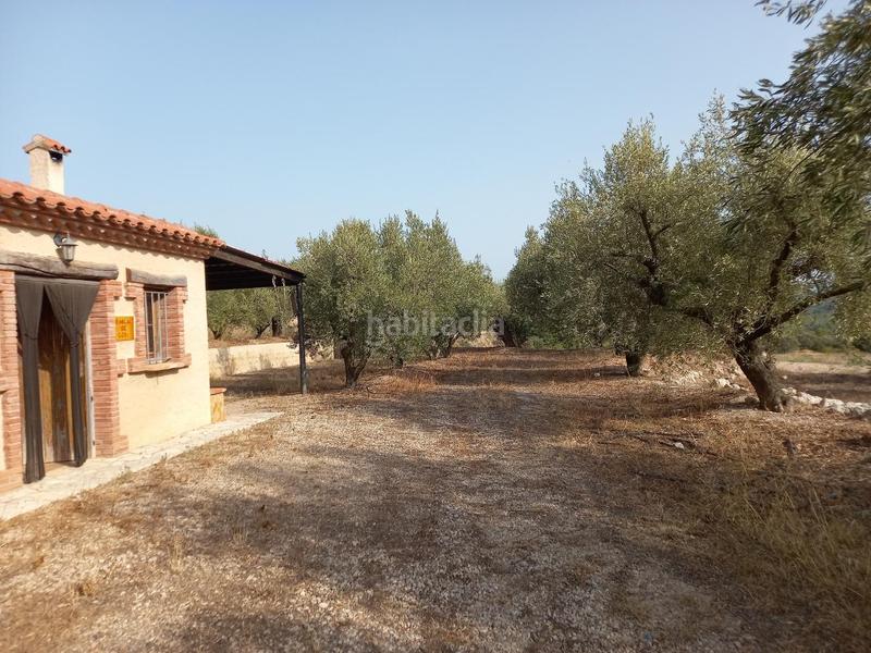 Foto f3aa183c-0e64-429c-9ae2-dffc4afba022. Fondo rustico in Miravet