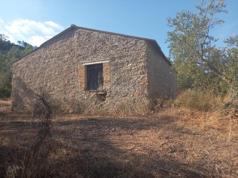 Foto 2d99a64e-da94-4673-bef3-95a96ca9ac5c. Propriété dans Torre de l´Espanyol (La)