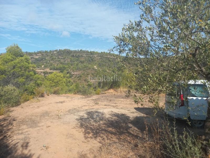 Foto 4f244444-9330-45f6-8206-4bdb87848edd. Propriété dans Torre de l´Espanyol (La)