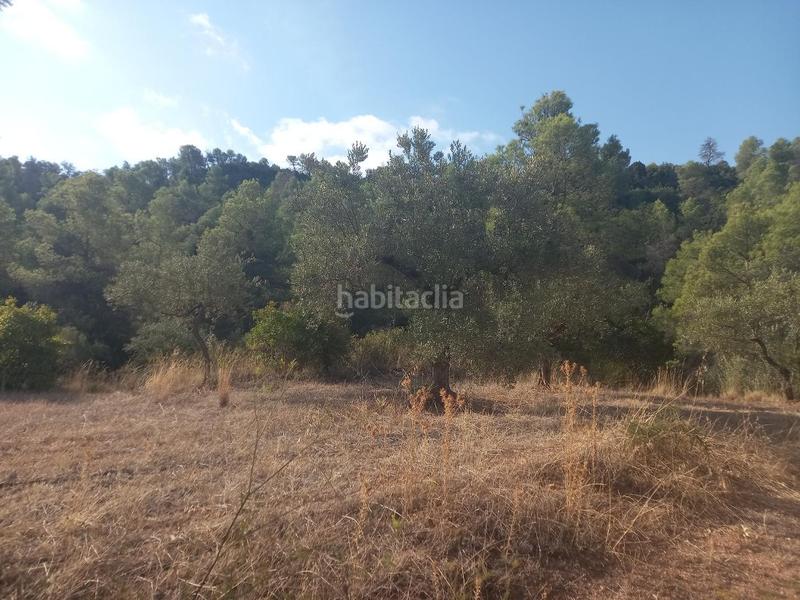 Foto 53993718-645f-47a5-8848-6db58ff24ff3. Propriété dans Torre de l´Espanyol (La)