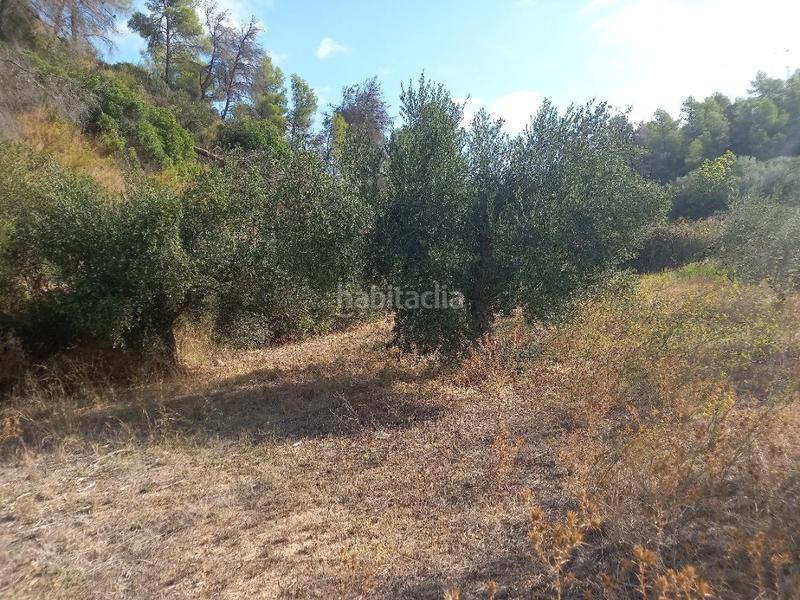 Foto 5a918bd7-b756-4861-b959-da148bcaac50. Propriété dans Torre de l´Espanyol (La)