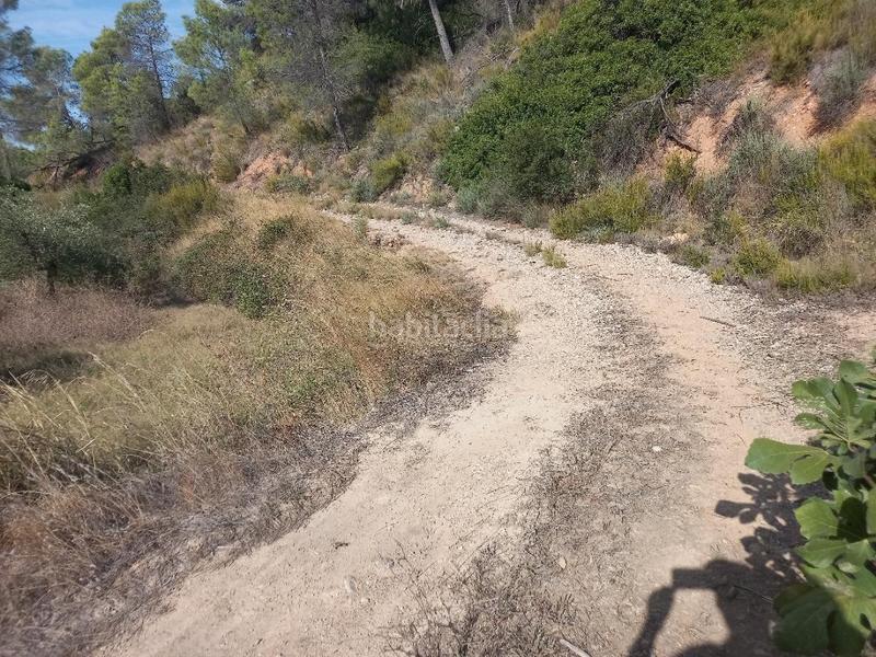 Foto 5fc52a92-aa94-43b1-b4cb-80f6d7d158f6. Propriété dans Torre de l´Espanyol (La)