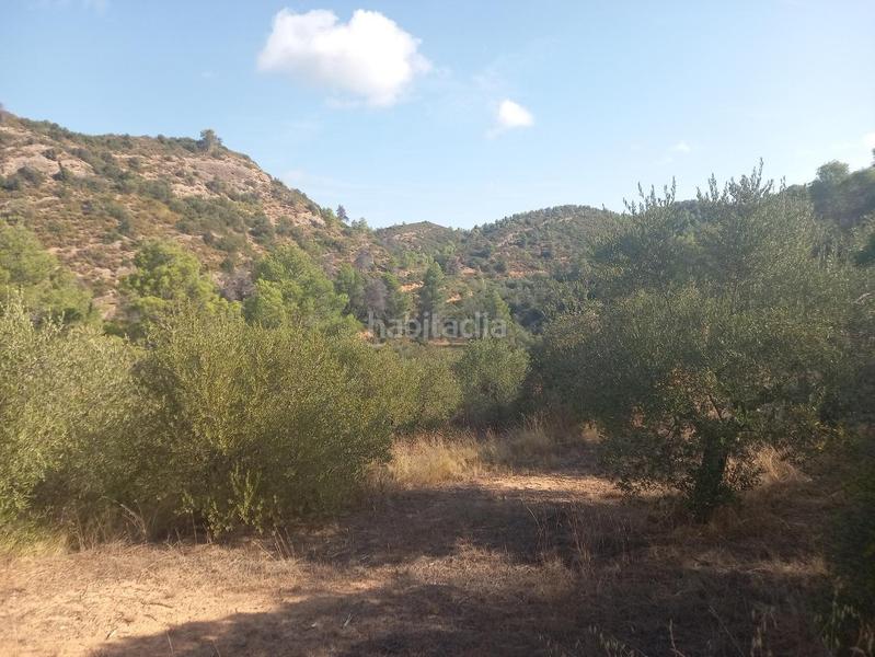 Foto c6457cb8-153f-492e-8848-fefeedfd5eed. Propriété dans Torre de l´Espanyol (La)