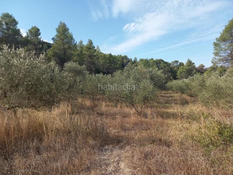 Foto cbbdd23f-3db1-4169-8c9b-c009373a0c15. Propriété dans Torre de l´Espanyol (La)