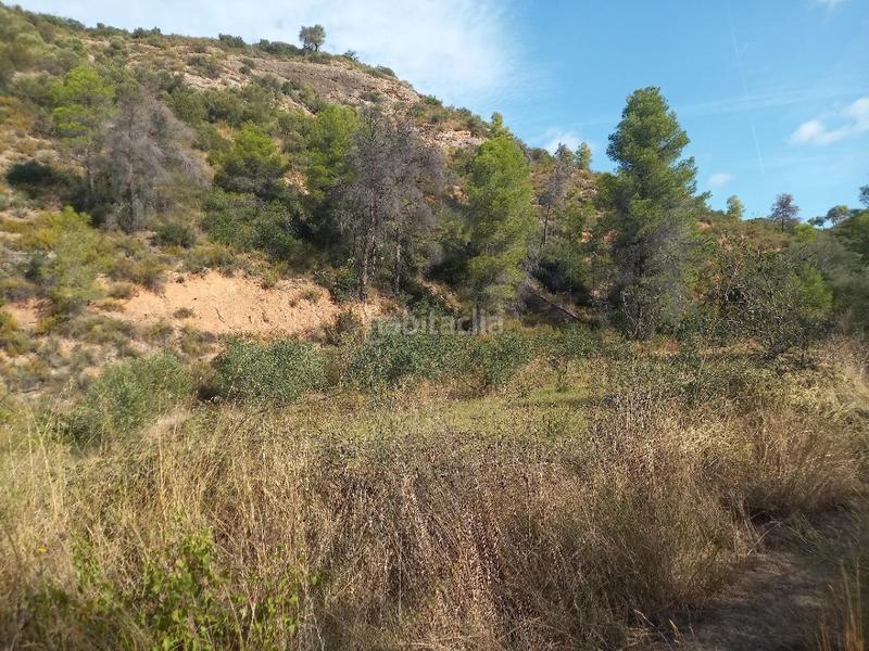 Foto d05a5233-a929-42a1-bc56-ac0229359af6. Propriété dans Torre de l´Espanyol (La)