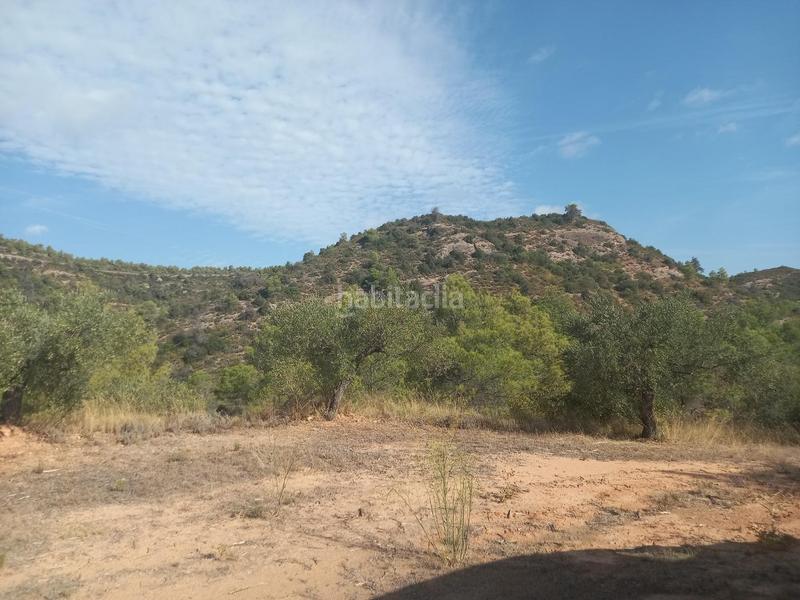 Foto ef27301b-4407-4cde-b34d-ac5885a83149. Propriété dans Torre de l´Espanyol (La)