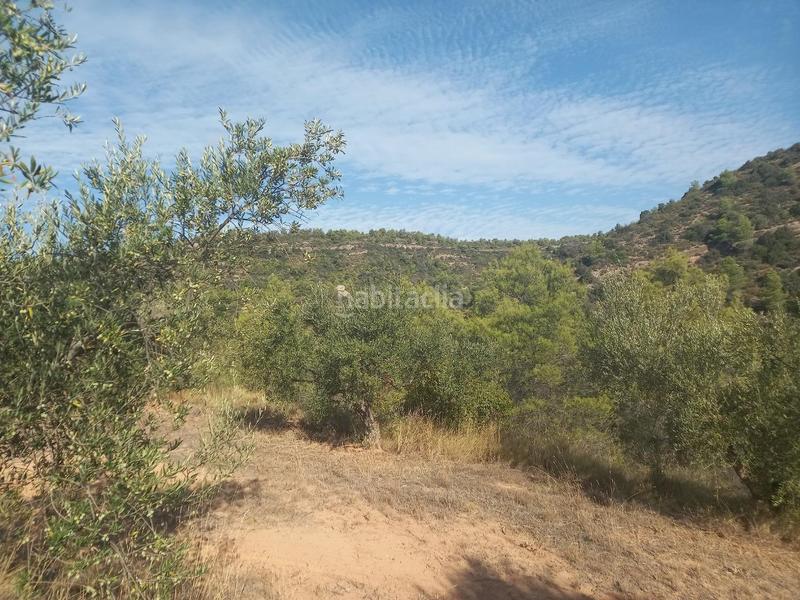 Foto f7d72517-8f50-44d6-990e-11075e2f6be1. Propriété dans Torre de l´Espanyol (La)