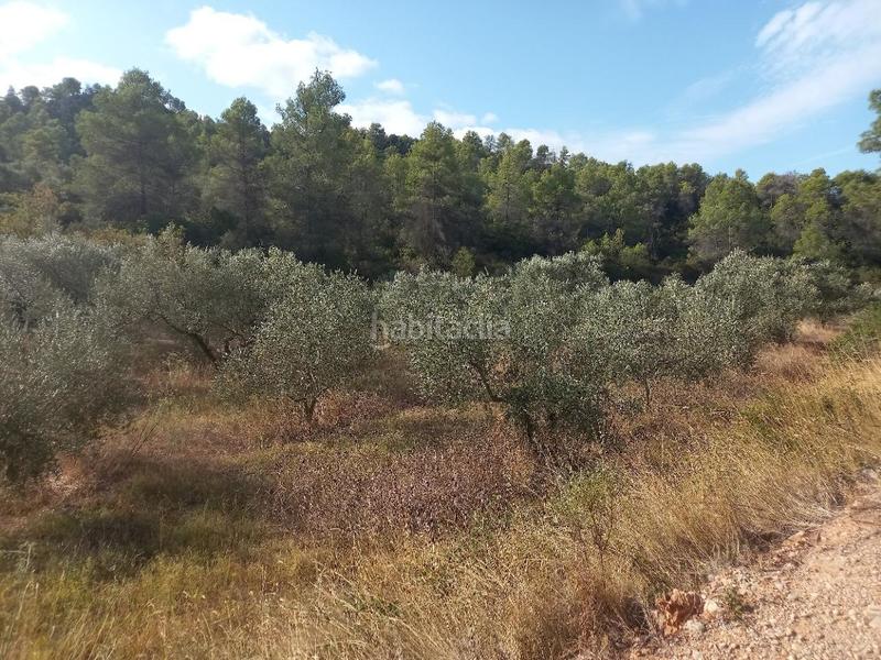 Foto fc276d07-0c1a-4770-9da1-4d9ee199d0de. Propriété dans Torre de l´Espanyol (La)