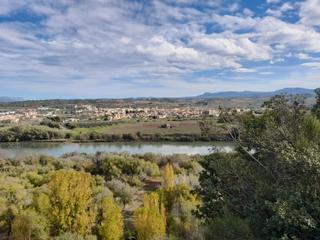 Fondo rustico in Móra d´Ebre. Oportunidad finca rustica de riego con espectaculares vistas al