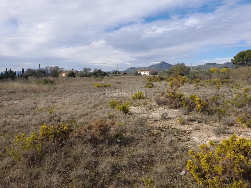 Foto b1ff9c24-e8a6-4d31-b7ae-2050bdaebc33. Propriété dans Móra d´Ebre