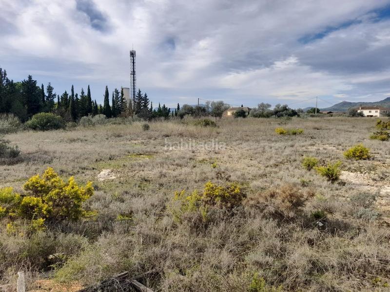 Foto e56e653b-de4e-4607-9fe9-8117227049c8. Propriété dans Móra d´Ebre