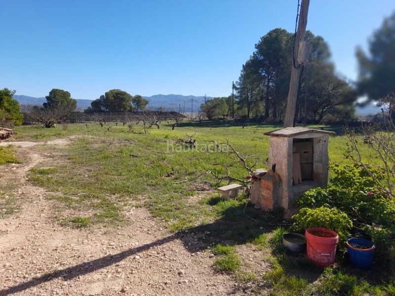 Foto 01859621-f7d3-4376-a1c7-f6be71e7e586. Casa amb aparcament a Móra d´Ebre