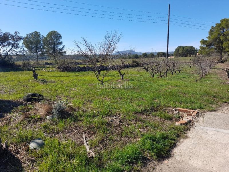 Foto 57742092-fb06-4575-a789-a1772d42444c. Casa amb aparcament a Móra d´Ebre