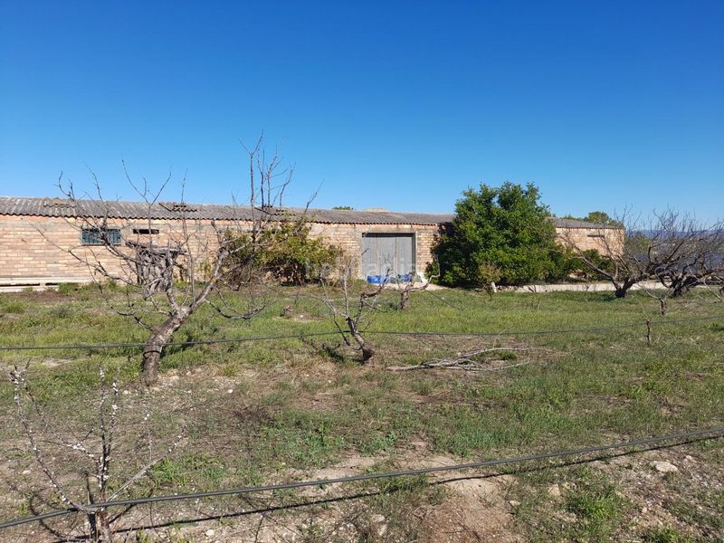 Foto 75c95fd2-7b66-455b-9cee-52d4a99f5b07. Casa amb aparcament a Móra d´Ebre