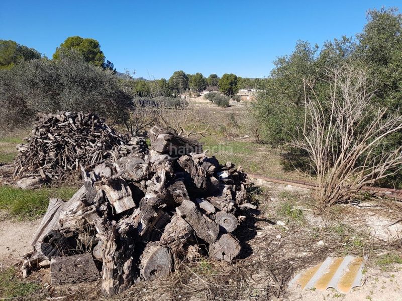 Foto 82e0dd92-5872-4e85-8cf2-92cf9b94b372. Casa amb aparcament a Móra d´Ebre