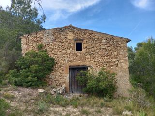 Finca rústica en Pinell de Brai (El). Oportunidad finca rustica de 2,7 has. plantada de olivos y almen