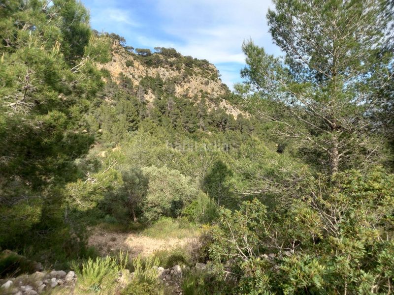 Foto 069aad2c-c19e-4294-bec4-eb2408f349a8. Finca rústica a Pinell de Brai (El)