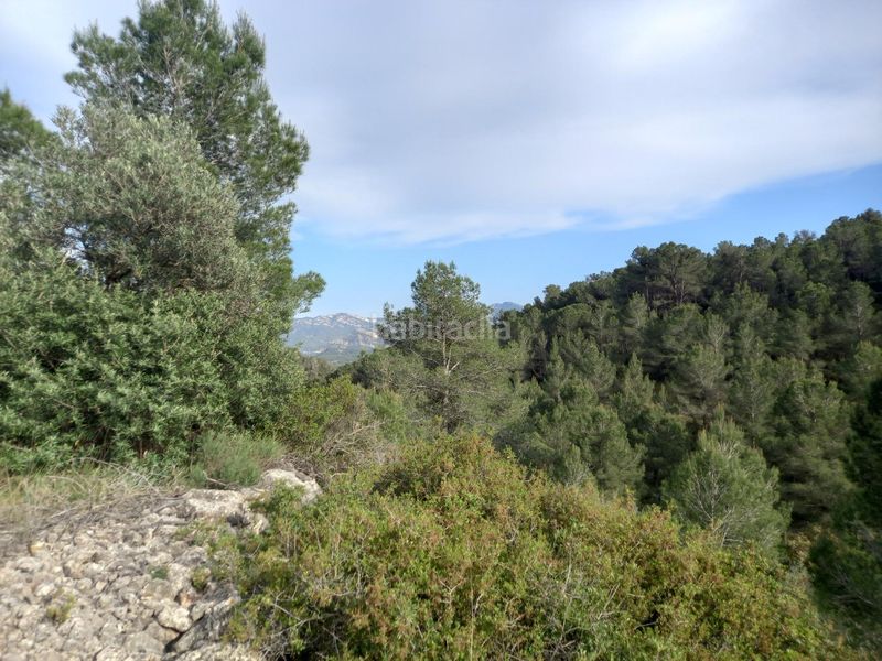 Foto 0bae7cfe-b7a6-480b-bd00-db809a321c8f. Finca rústica a Pinell de Brai (El)