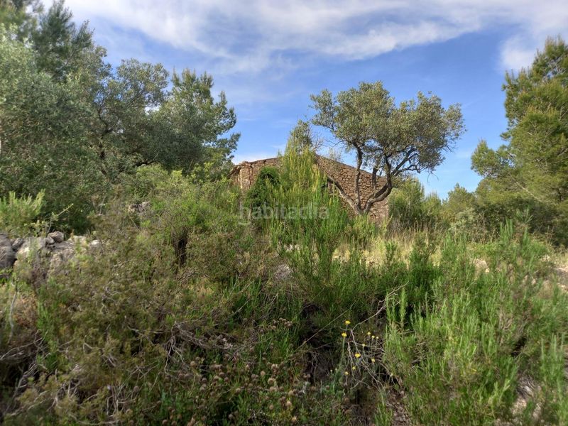 Foto 41f779ed-ccc1-49cd-b591-023b6e1c32c0. Finca rústica a Pinell de Brai (El)