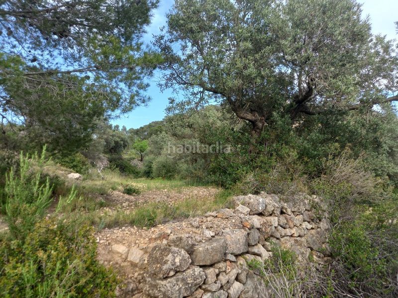 Foto 45f55a7f-f879-413c-a042-86ff96a2a201. Finca rústica a Pinell de Brai (El)