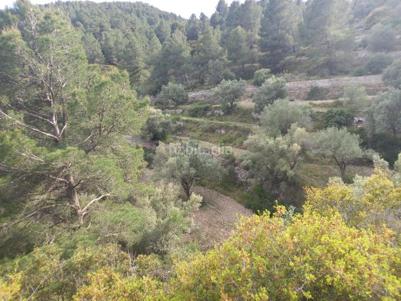 Foto 7a635665-733c-46dd-ac71-fd2376f3527e. Finca rústica a Pinell de Brai (El)