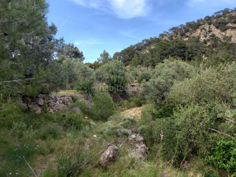 Foto a5f63ffc-d103-422a-a1a4-a7ffa8edf4de. Finca rústica a Pinell de Brai (El)