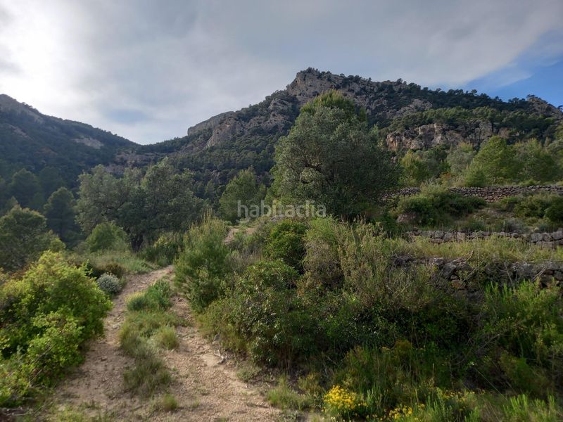 Foto ac2d17f6-76d5-4c10-8607-e7733703dfc9. Finca rústica a Pinell de Brai (El)