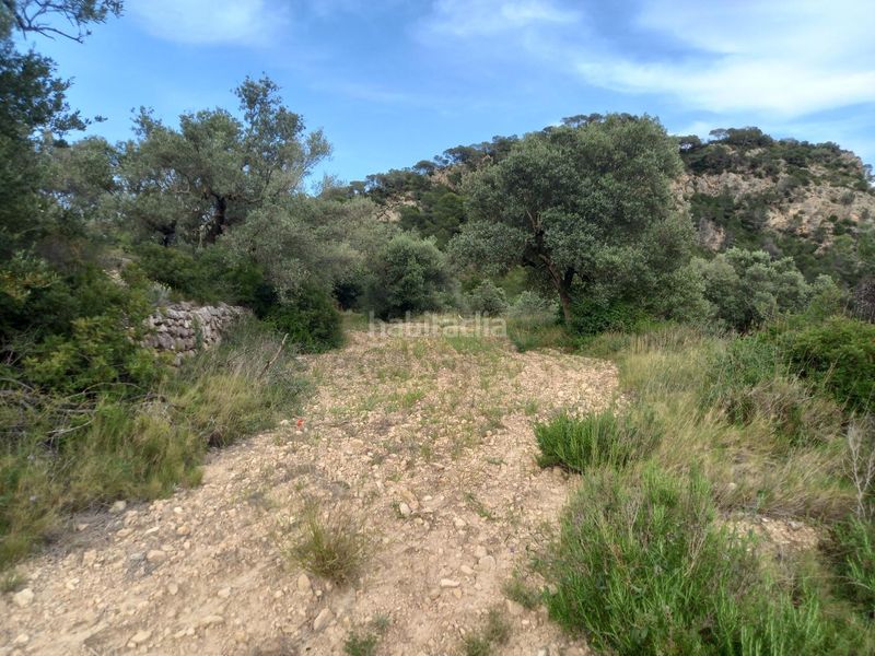 Foto da776ada-c265-45bc-820e-88576839fdbb. Finca rústica a Pinell de Brai (El)