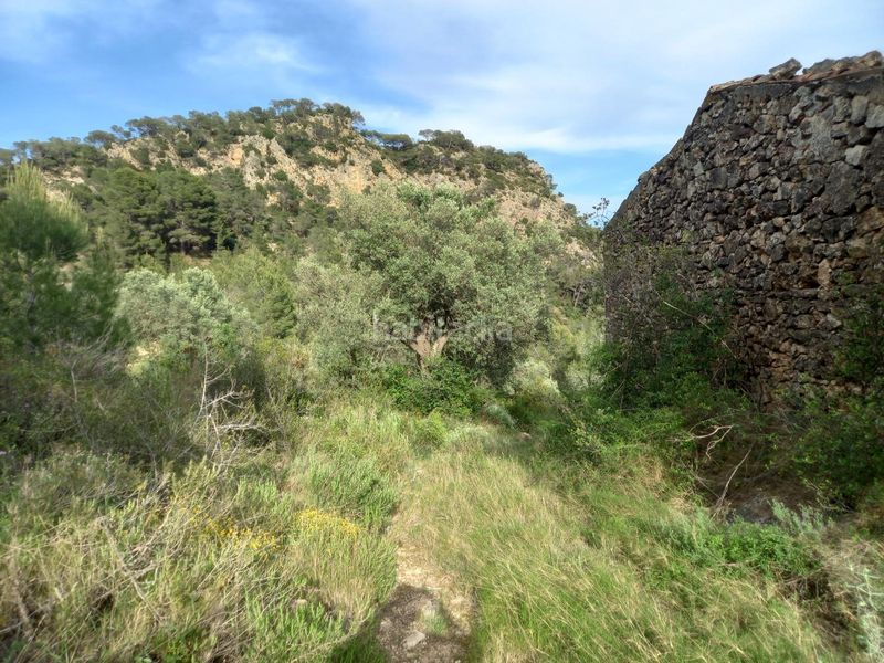 Foto dbd0c975-8075-420a-99c2-297617e044a0. Finca rústica a Pinell de Brai (El)