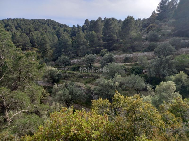 Foto e8d5a67e-77e2-4f8b-8644-68fba7445270. Finca rústica a Pinell de Brai (El)