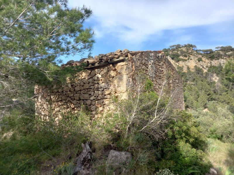Foto ec22b5d2-d60f-4078-b213-cdf07544fb0a. Finca rústica a Pinell de Brai (El)