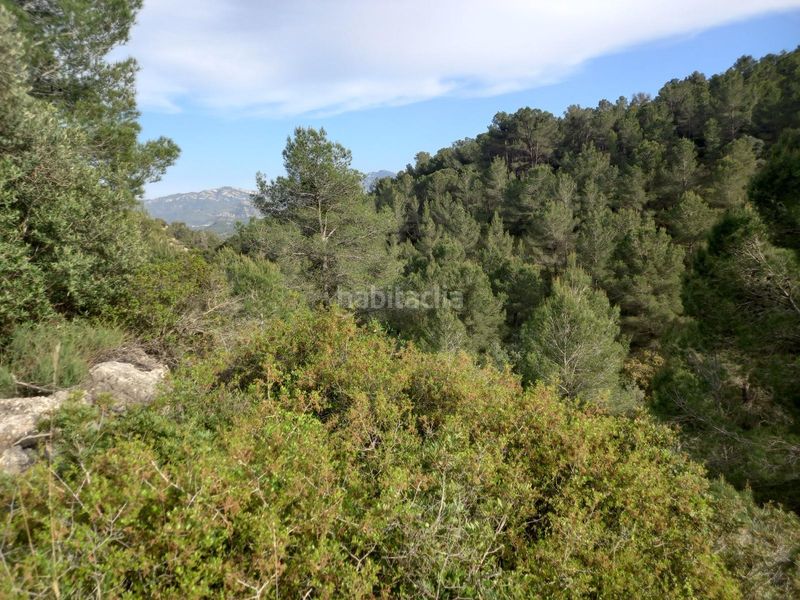 Foto ef07df69-3cad-4b4a-87c3-b25b36325340. Finca rústica a Pinell de Brai (El)