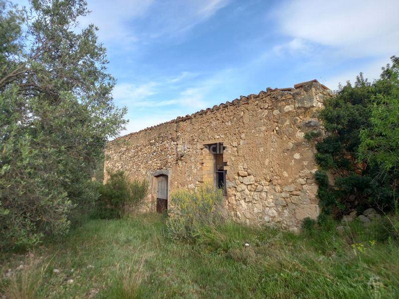 Foto 03e1b625-ce49-47cb-887d-7239d70d5c8b. Finca rústica a Pinell de Brai (El)
