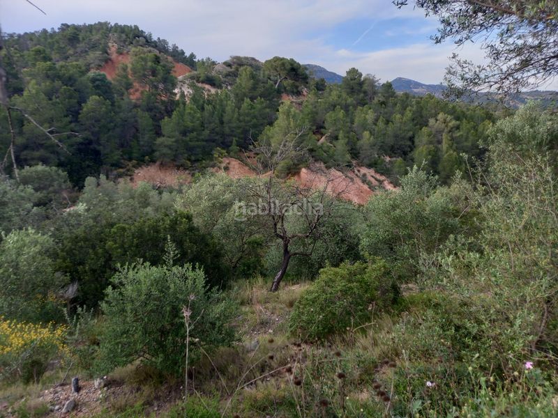 Foto 0c00bbe7-f624-4574-bf5f-2480760240c7. Finca rústica a Pinell de Brai (El)