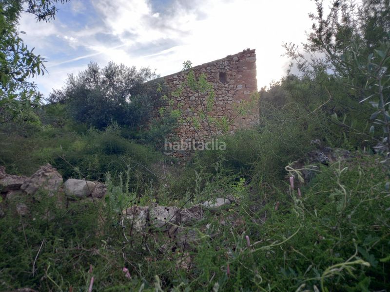 Foto 32bb276d-f0db-4d07-9b94-bf7fc45d114a. Finca rústica a Pinell de Brai (El)