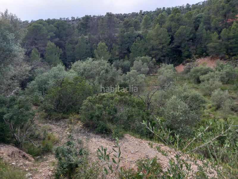 Foto 44d0d0ba-0cd3-4753-af0b-a8af3f43928b. Finca rústica a Pinell de Brai (El)