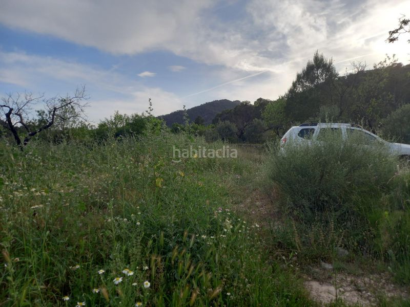 Foto bdf8bbc0-8f12-4bc8-82ba-360d9f0c451e. Finca rústica a Pinell de Brai (El)
