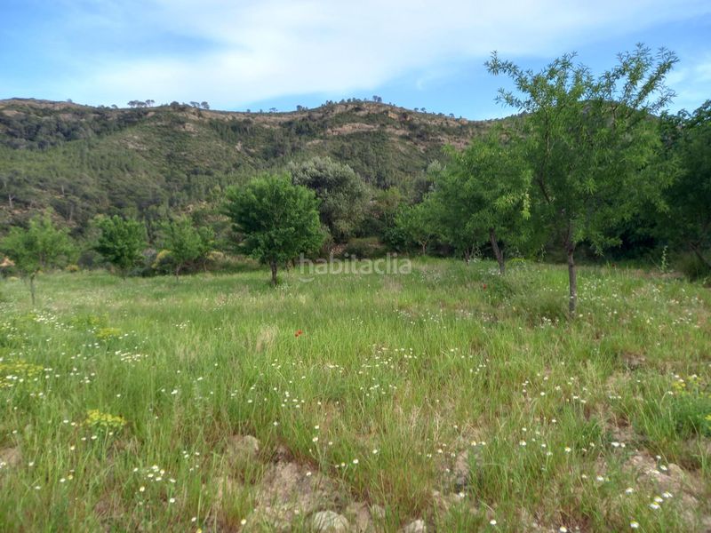 Foto e03cbddf-064f-4540-b909-e7670f38f569. Finca rústica a Pinell de Brai (El)