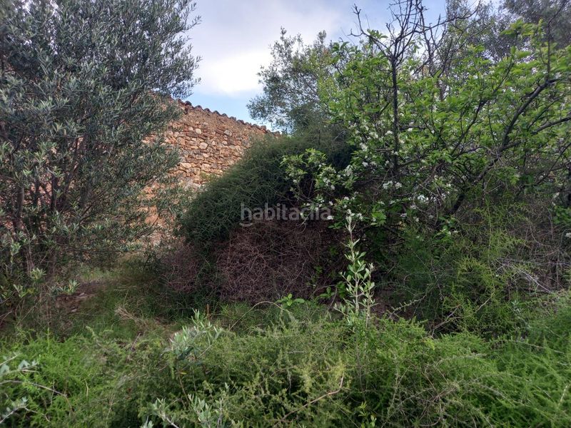 Foto e1ffca9a-3f53-40fe-a71f-c23dae25fc0f. Finca rústica a Pinell de Brai (El)