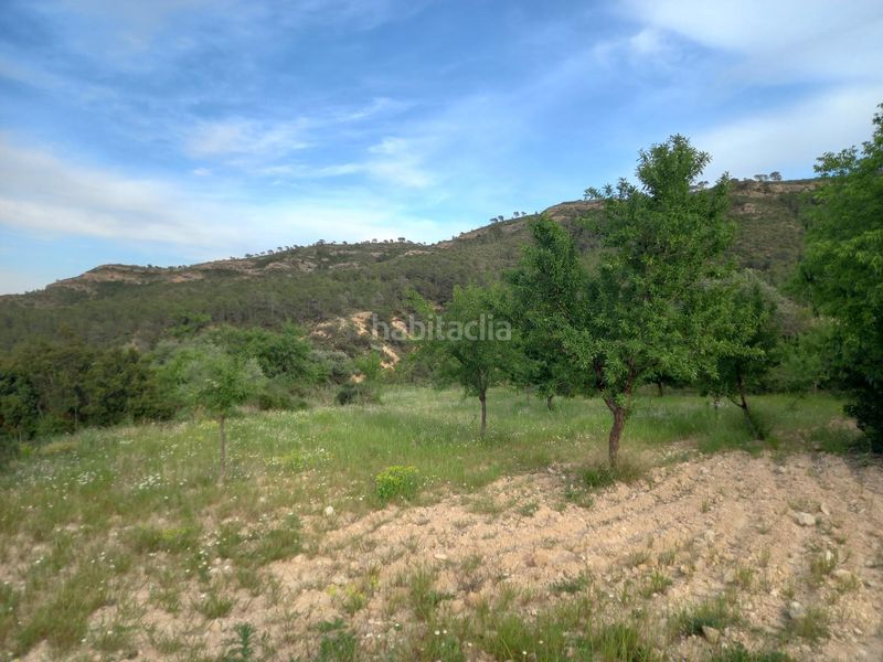 Foto ea8584b2-3dc4-4b7a-a525-62b670b7324d. Finca rústica a Pinell de Brai (El)