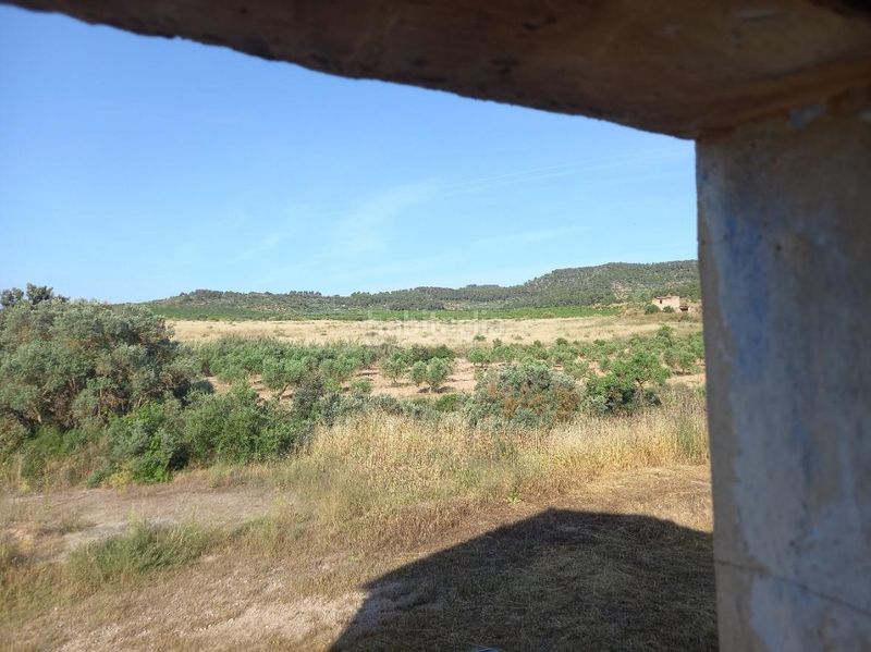 Foto 7c0a2815-6c8a-4190-8d48-c78347403224. Finca rústica a Fatarella (La)