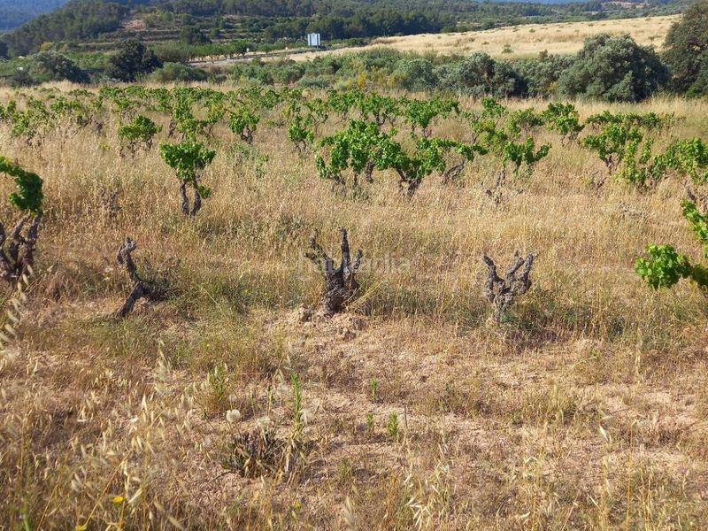 Foto b39d56f1-e097-4d30-a9b2-2c8e6d30bd11. Finca rústica a Fatarella (La)
